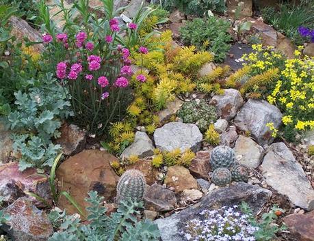 Book Review: Cacti & Succulents for Cold Climates