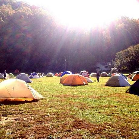 Sea of tents... Packed weekend at Miguel's