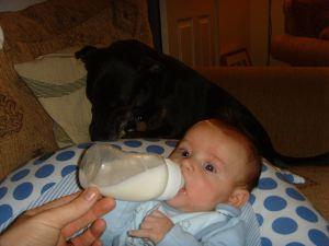 Little Mr A always loved his milk!