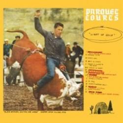 Parquet Courts Light Up Gold Borrowed Time 250x250 Parquet Courts   Light Up Gold