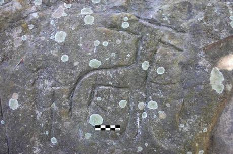 A rock engraving discovered from the new site that similar to one in Edakkal cave. — Photo: