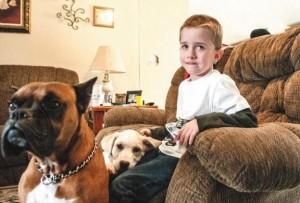 Lost boy kept warm by dogs