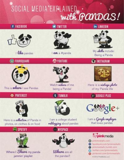 Social networks explained (Facebook, Twitter, YouTube, Google+, LinkedIn, Pinterest)