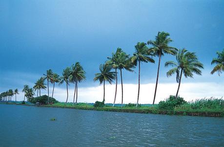 Spending your precious days in Kumarakom takes you at the top of the world.