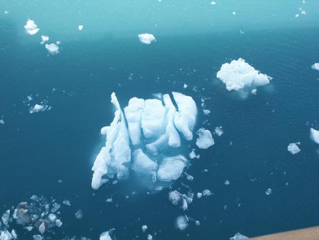 #FriFotos #Ice and #Snow - Views from an Alaskan Cruise