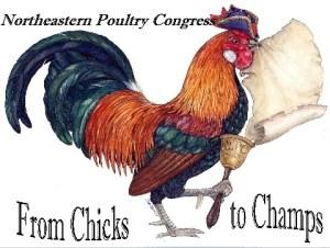 roosterl_chickstochampsMedium_Web_view