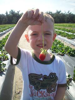 Baby picks strawberry