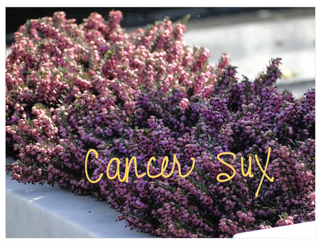cancer, cancer treatment, life options with cancer, positive attitude about cancer 