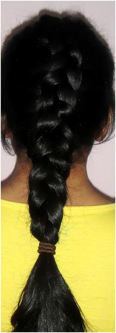 Braids Pictorial–French & Dutch Braid