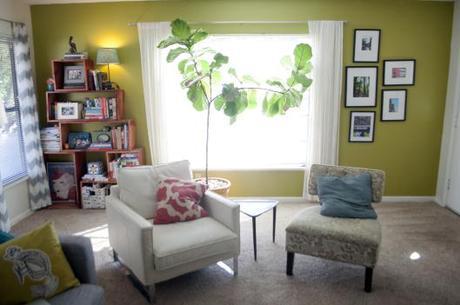 livingroomfigtree