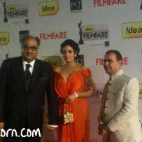 thumbs sridevi 58th idea filmfare awards 2013 pics photos images stills gallery 58th Idea FilmFare Awards 2013 Celebs Gallery