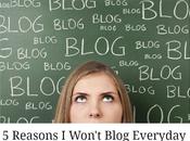 Reasons Won't Blog Everyday
