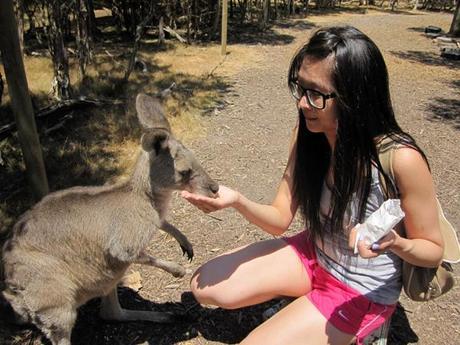 My week in photos – Feat. snorkeling and fluffy creatures Moonlit-Sanctuary