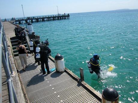 My week in photos – Feat. snorkeling and fluffy creatures rye beach