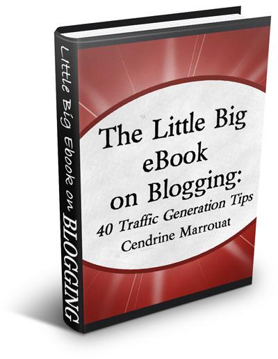 Little Big eBook on Blogging by Cendrine Marrouat