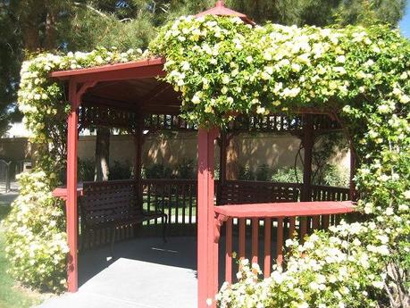 vegas chapel pagoda