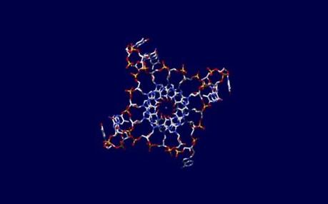 Four DNA Strands e1358781258489 Scientists Discover Four strand DNA structure