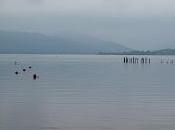 Some Fishy Going On... Planning Little Trip