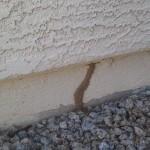 IMAG0706 150x150 FREE Termite Inspection