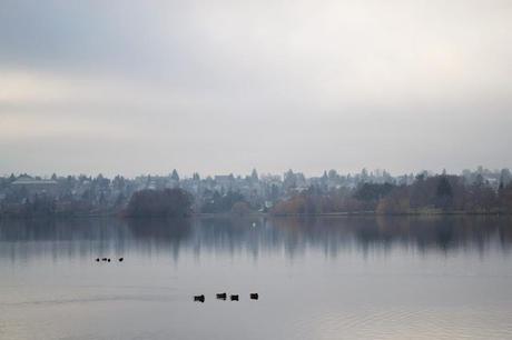Green Lake, Seattle, foggy, winter, photography