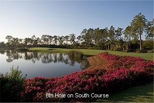 Mediterra_south_golf_course-6th_hole