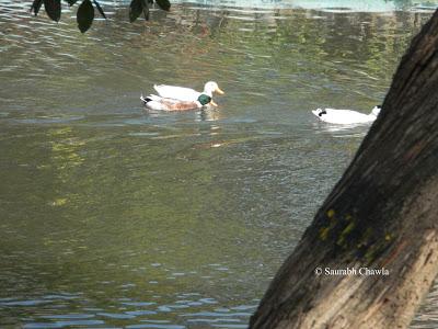 A date with nature!