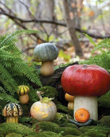 Toadstools to Topiaries, 11 Creative Mushroom Projects for Your Garden