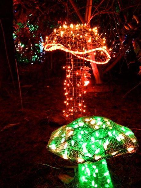 Light Up Mushrooms