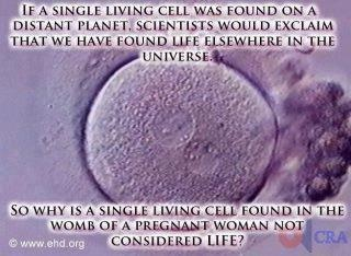 SingleLivingCell