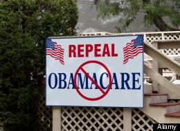 Terry Lee, Utah Business Owner, Says Obamacare Forced Firings; Obama Supporters First To Go