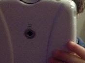 23/365 Little Paparazzo Large