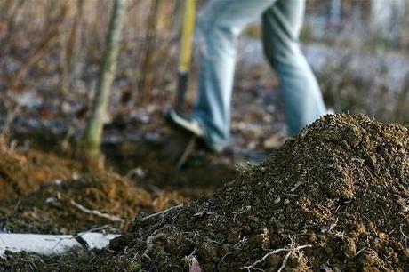 Digging in the Garden