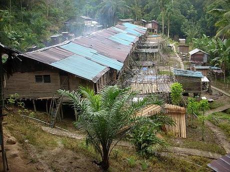 The Longhouses of Malaysian Borneo