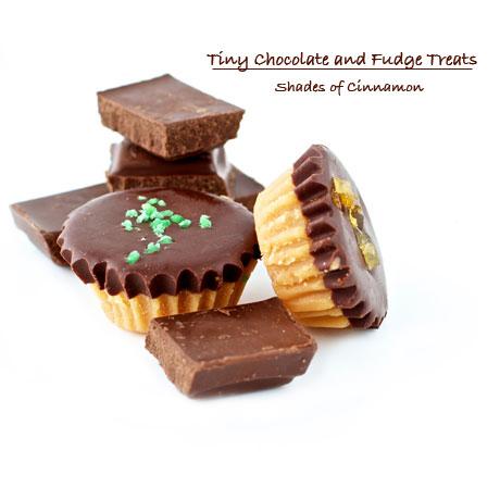 Chocolate and Fudge - a dazzling duo