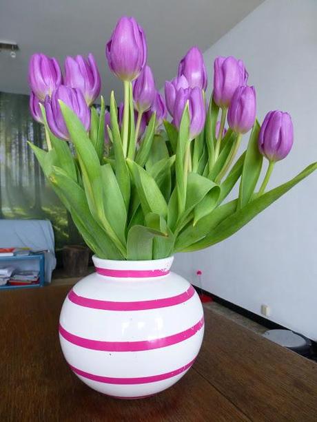 Tulips from Holland/Home