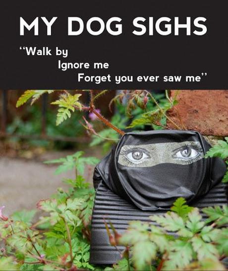Walk by, Ignore me, Forget you ever saw me a solo show by My Dog Sighs