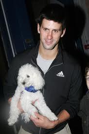 Dogs You Can't Resist Dogs You Can't Resist