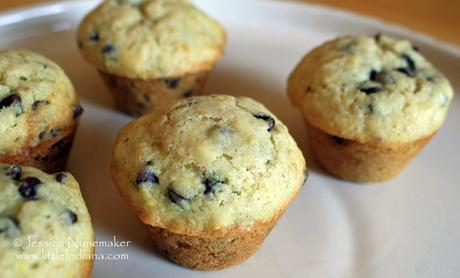 Mini Chocolate Chip Mufffins Recipe