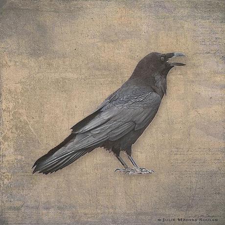 Raven print, a solitary raven with each feather in exquisite detail is printed on a background texture with the look of old linen.