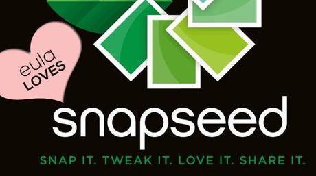 Snapseed launches on Android, now free on iOS 4 and Ice Cream Sandwich