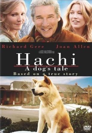 Hachi A Dog's Tale Big Daddy Blogger
