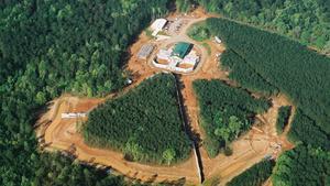 Government Scientists in the U.S. Are Set to End Most Research Done On Chimps Government Scientists in the U.S. Are Set to End Most Research Done On Chimps