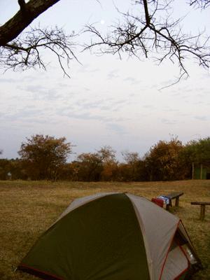 Camping at Nile Safari Lodge, Murchison Falls National Park, Uganda