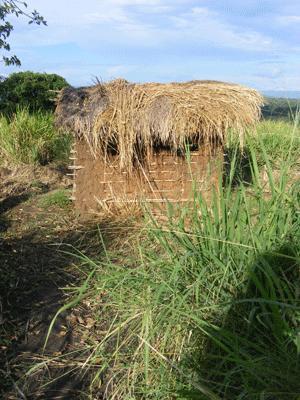 The cleanest toilet in Uganda