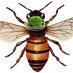Bees: Intelligent Hive Mind?