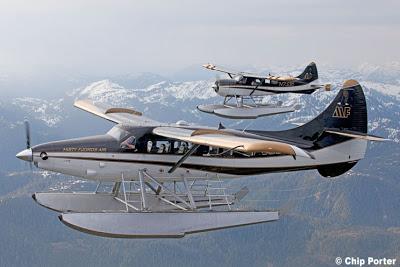 Alaskan Glacier Flight
