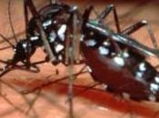 This Week Travel Health