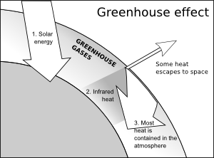 Curbing Climate Change one Solar Installation at a time