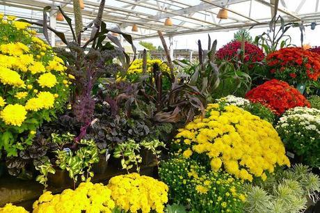 Bienvenue, l'automne (Welcome, fall) Bienvenue, l'automne (Welcome, fall)