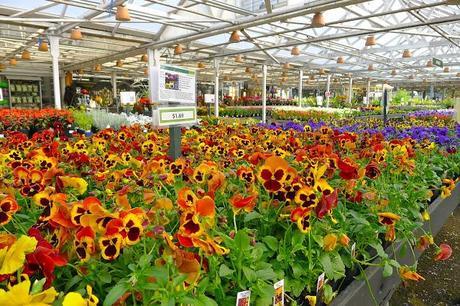 Bienvenue, l'automne (Welcome, fall) Bienvenue, l'automne (Welcome, fall)